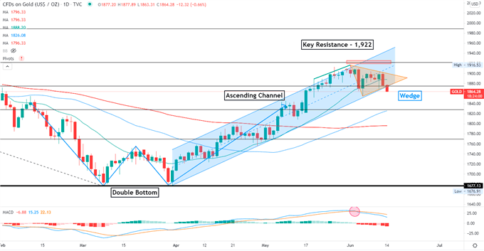 Gold Prices Fall as Fed Balance Sheet Hits $8 Trillion, Reverse Repo Surges