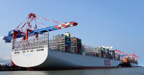 OOCL - Hãng tàu container lớn nhất Hồng Kông - MBF