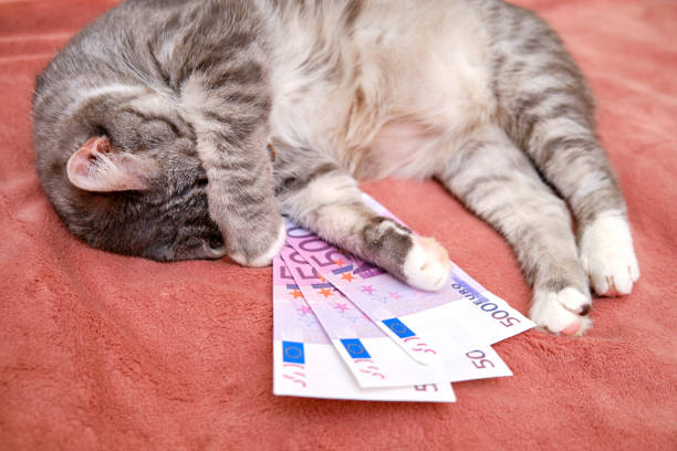 EUR/USD đà phục hồi chững lại – Lo ngại sóng tăng sẽ sớm dừng lại EUR/USD đà phục hồi chững lại – Lo ngại sóng tăng sẽ sớm dừng lại