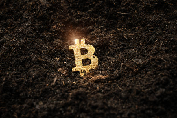 Nhận định xu hướng giá Bitcoin