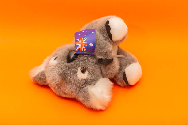 Westpac: Những điểm cần lưu ý sau các quyết định chính sách tiền tệ toàn cầu